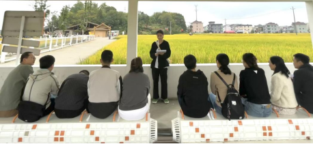 見證新發展，奮進新農村